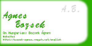 agnes bozsek business card