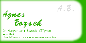 agnes bozsek business card